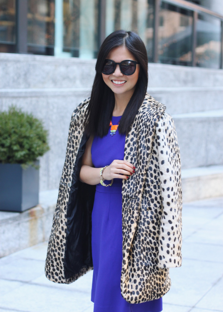 Leopard Coat & Blue Dress