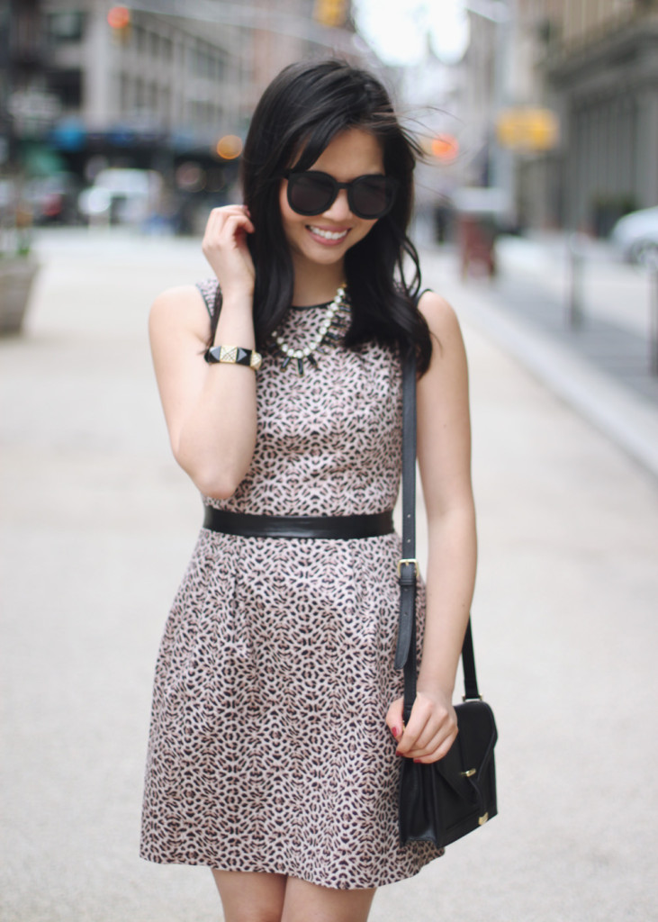 Leopard Dress with Leather Trim
