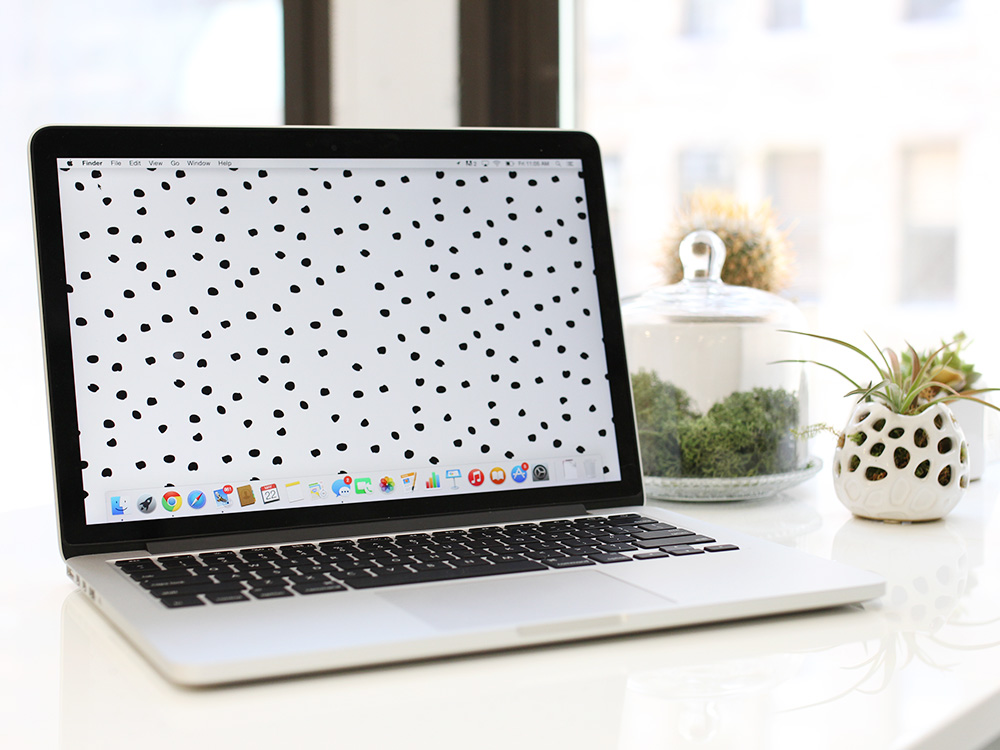 Skirt The Rules // Succulents for Office Decor