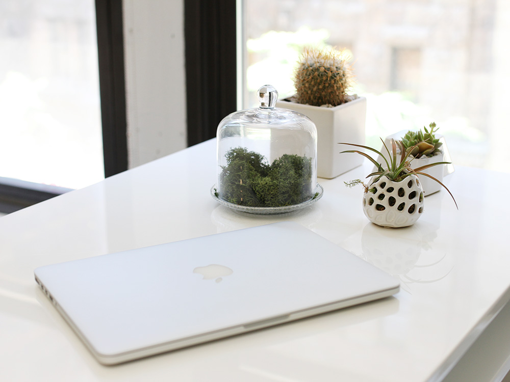 Skirt The Rules // Succulents for Office Decor