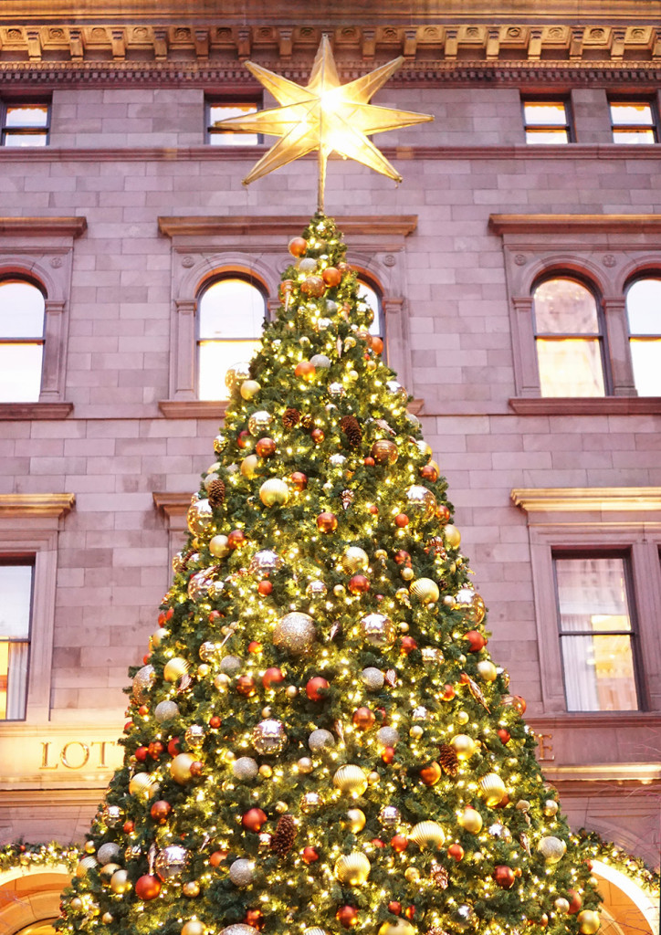 Skirt The Rules / Christmas Tree at the Palace Hotel