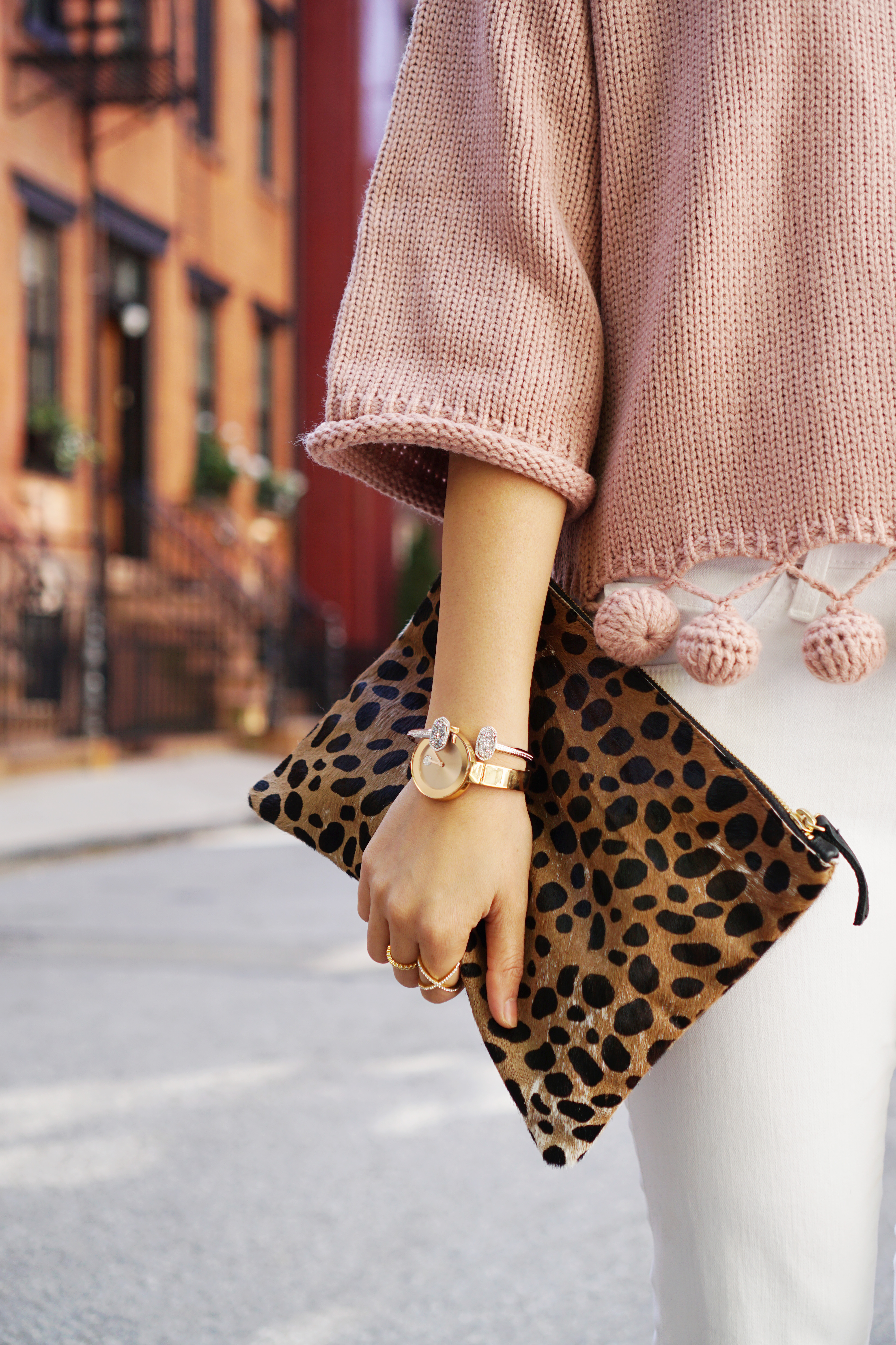 Skirt The Rules / Leopard Clutch