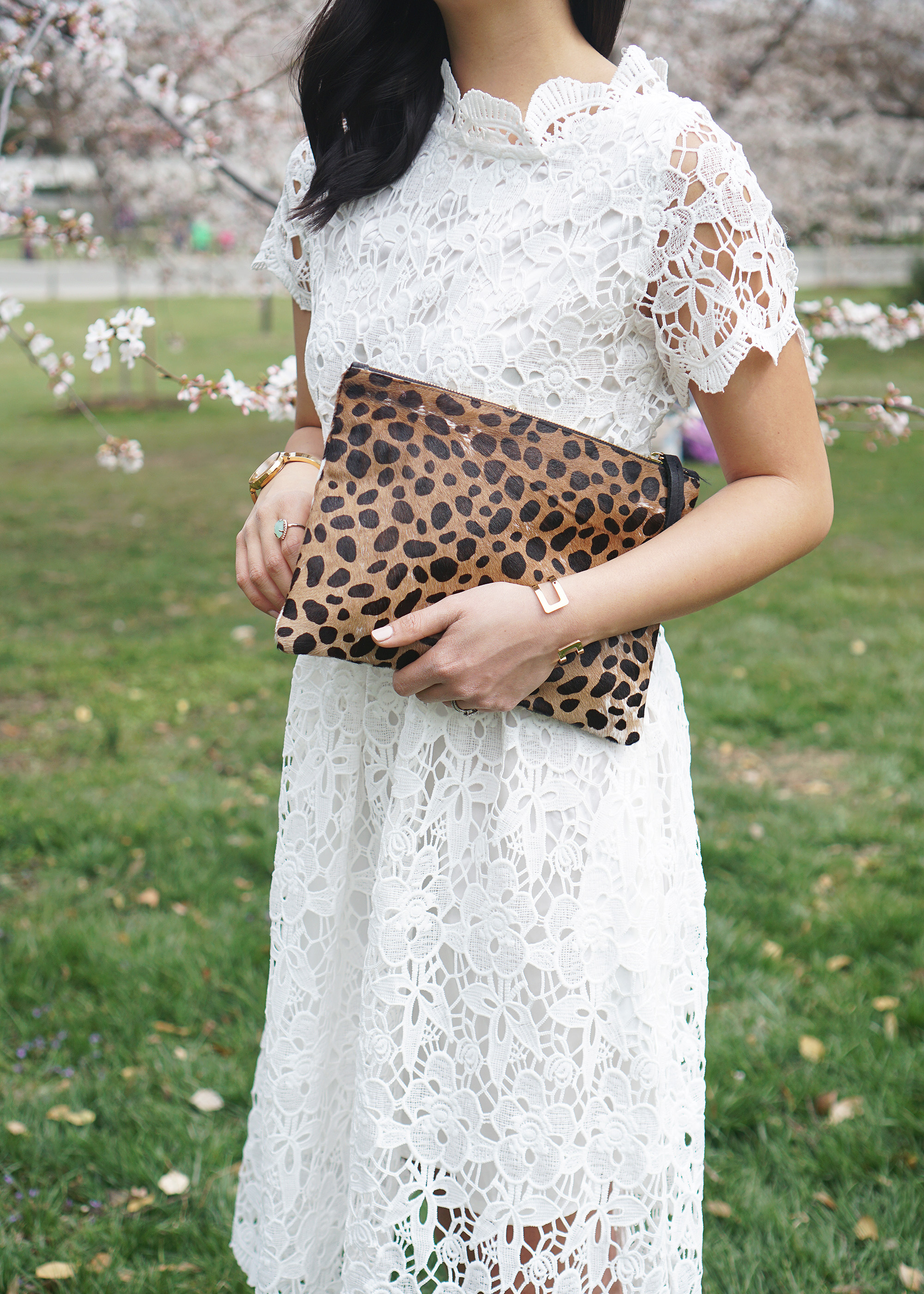 Skirt The Rules / Leopard & Lace