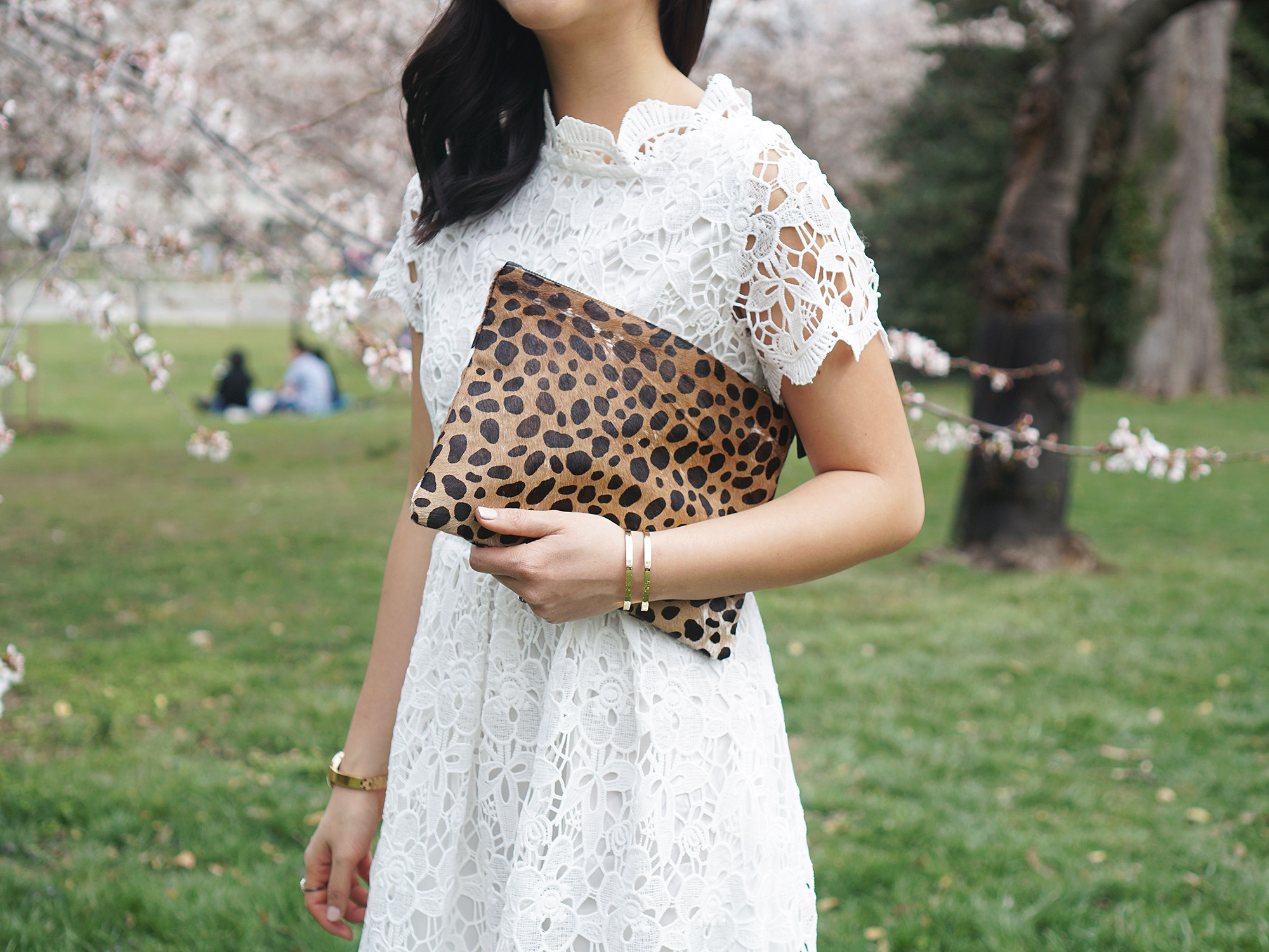 Skirt The Rules / Leopard & Lace