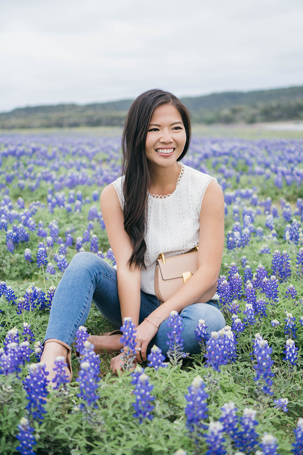 Bluebonnets in Texas